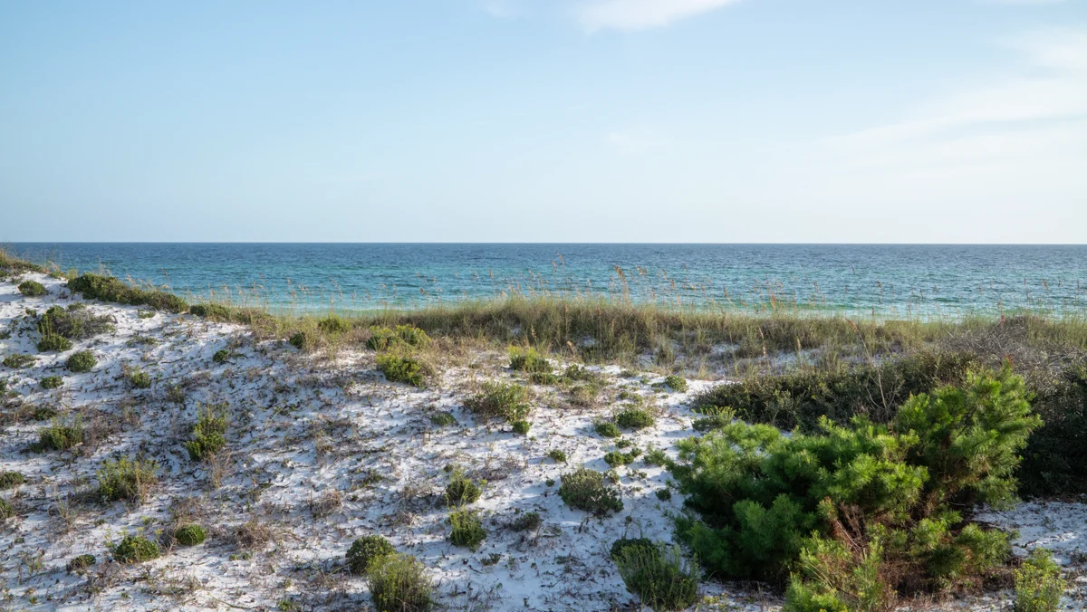 Topsail Hill Preserve State Park RV loops with rare coastal dune lakes nearby